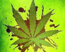 Today, many people know what 420 friendly is, and they're happy to show it. Petition Add 420 Friendly Blogs To The Directory Change Org