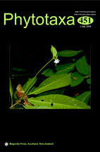 Image result for Hymenodictyon parvifolium