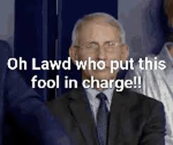 Anthony fauci, the director of the national institute of allergy and infectious diseases at nih, has emerged as the most trusted public official during the coronavirus outbreak. Dr Fauci Oh Lord Gif Dr Fauci Oh Lord Who Put This Fool Discover Share Gifs