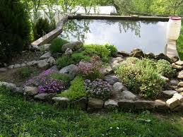 1001 Ideen Und Bilder Zum Thema Steingarten Anlegen Steingarten Steingarten Anlegen Garten