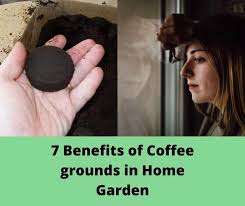 Greenhouse gardening is actually the next level of gardening and many gardeners doubt to build in this greenhouse gardening tips article, you are going to learn about 10 must know benefits of. 7 Benefits Of Coffee Grounds In Home Garden Agrofa Trading