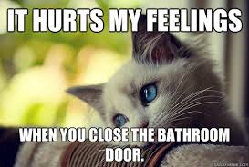 It Hurts My Feelings When You Close The Bathroom Door First World Cat Problems Quickmeme