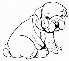 High quality illustrations for students, artists, creatives, teens, and adults. Baby Pitbull Coloring Page Free Printable Coloring Pages For Kids