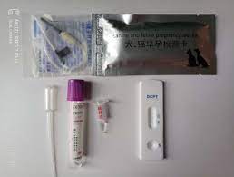 The blood test detects pregnancy in the the pregnant dog by measuring levels of a hormone called relaxin. China Msldh01 Canine And Feline Pregnancy Test Kit China Animal Pregnancy Test Kit Test Strip Canine And Feline Pregnancy Test Kit
