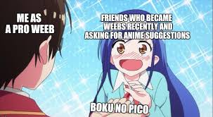 People who watch anime come from different countries with different cultures. Boku No Pico Zodiac Signs Boku No Pico Memes Anime Amino Described As The World S First Shotacon Anime By Its Producer It Was Primarily Marketed To A Male Audience