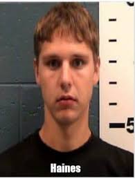 Two men charged in auto burglary spree