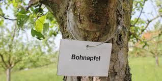 Willkommen im ogv grossberg und umgebung. Competenz Centren Obst Garten Umweltakademie Umweltakademie