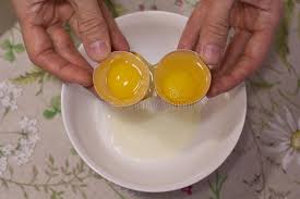 Two Yolks In One Egg 2 In 1 Women S Hands Open A Unique Egg With Two Yolks The Process Of Opening Eggs For Making Cake Stock Pho Eggs Yolk Food Photography