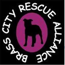 We did not find results for: Connecticut Dog And Cat Rescues Ct Dog Walking And Pet Sitting Rco Pet Care Also Serving Oxford Southbury And Watertown Areas