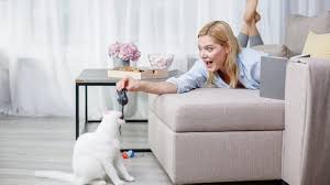5 Fun, Easy Games To Play With Your Cat [VIDEOS] - CatTime