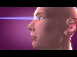 The Eye Institute of West Florida