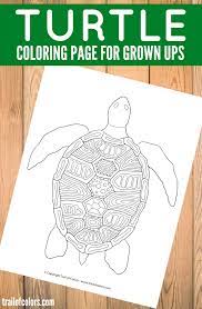 Search images from huge database containing over 620,000 coloring we have collected 39+ free printable turtle coloring page images of various designs for you to color. Turtle Coloring Page For Grown Ups Trail Of Colors