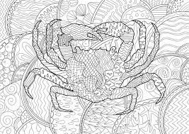 If they already know something about abc you could play an interesting game with the. Sea Crab With High Details Adult Antistress Coloring Page Black White Sea Animal For Art Therapy Abstract Pattern With Oceanic Elements For Relax Coloring For Grown Ups Royalty Free Cliparts Vectors And