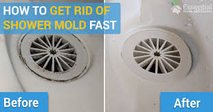 How to remove calcium deposits from your shower head. How To Remove Mold From The Shower Quickly And Easily