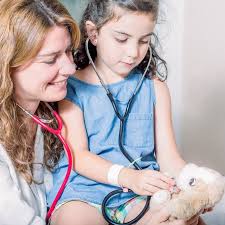 INDIVIDUAL HEALTH — SFD Insurance