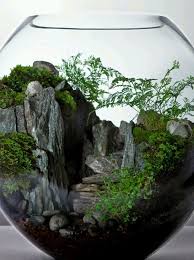 Ca Ressemble A Une Mini Foret Jardin Bocal Mini Jardins Jardins Miniatures
