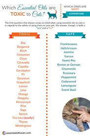 Which Essential Oils Are Toxic To Cats Which Ones Are Safe A Complete Guide Essential Oils Dogs Essential Oils Cats Essential Oil Recipes