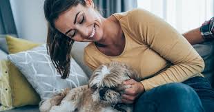 Surely your dog must really love you if the mere thought of you leaving sends them into a frenzy? 10 Signs Your Dog Loves You Isn T Just Pretending Because You Re The One With The Treats