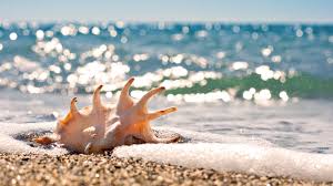 Beautiful (free) beach wallpapers for your phone or desktop. 43 Beach And Ocean Wallpaper On Wallpapersafari