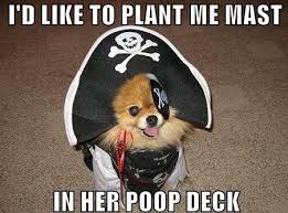 We would like to show you a description here but the site won't allow us. Shiver Me Timbers Album On Imgur