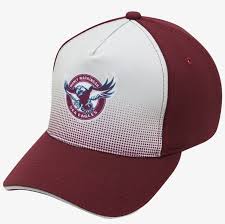 Manly warringah sea eagles logo brand is a palette in sports category and belongs to sport sub category. Manly Sea Eagles Nrl Team Coloured Logo Adult Curve Manly Sea Eagles Nrl Uv Car Decals 5 Per Sheet Free Transparent Png Download Pngkey