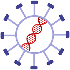 I believe this one is the same chimpanzee adenovirus used by the oxford team. Coronavirus Vaccines Are Rolling Out Quickly Here S Where The Pipeline Stands Biopharma Dive