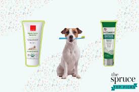 Who is the best veterinary dentist for dogs? The 8 Best Dog Toothpastes Of 2021 According To A Veterinarian