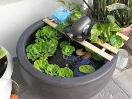 How to care for comets and the best practices to keep them healthy. Anself Solar Powered Pond Aerator A Review On An Air Pump For Small Pond Aeration My Goldfish Is Alive Pond Aerator Solar Fountain Diy Solar Fountain
