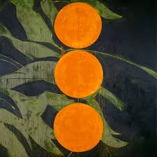 Inland Delta Donald Sultan Oranges On A Branch Orange Art Art Art Design