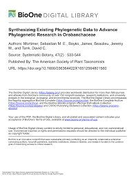 Image result for Melasma calycinum