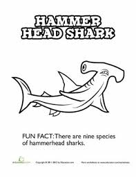 Hammerhead shark coloring pages free. Hammerhead Shark Coloring Pages To Print Out