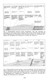 Image result for Sporobolus welwitschii