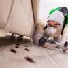 Use the best pest control companies to get rid of unwanted bugs, rodents and reptiles. 1