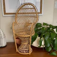 Grand peacock chair in rattan sold out. Mini Wicker Chair Pasteurinstituteindia Com