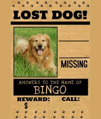 A missing cat poster is an instrument which helps you a lot to find a missing cat. 20 Best Lost Cat Dog Flyer Poster Templates Word Psd