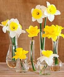 7, he purchased it from jeff gatewood for $5 million. Allisonville Nursery Allisonvillenur Profile Pinterest