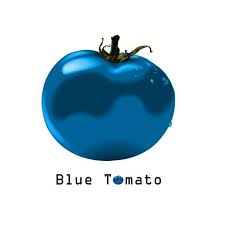 images?q=tbn:ANd9GcQn7fyjB7SshTRu3GY3Txd