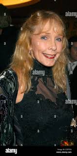 Stevens clint hi-res stock photography and images