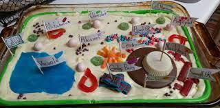 Plant cell model out of candy. Plant Cell Cake With Candy Organelles Found Most Of The Candy At 5below Cytoplasm White Frosting Cell Wall Laffy Taffy Rope Cell Membrane Gr Malted Milk Plant Cell Ribbon Candy