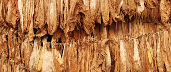 نتیجه جستجوی لغت [drying] در گوگل