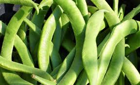 Judias Verdes Caracteristicas Beneficios Y Propiedades Cultivo Consumo