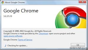Download the latest version of google chrome for windows. Flash Arrives In Google Chrome Browser