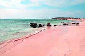 Mauro morandi, 81, moved to budelli off northern sardinia in 1989. The Pink Beach Of Italy Whose It Is Anyway Benvenutolimos