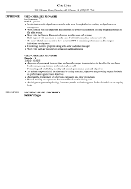 Used Car Sales Manager Resume Samples Velvet Jobs