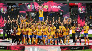 We did not find results for: Tigres Se Proclama Campeon De La Liga Mx Femenil