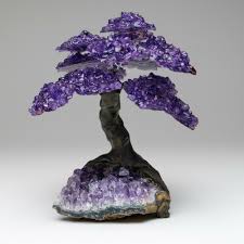 Pseudanthias squamipinnis jewel fairy basslet range: Astro Gallery Of Gems Large Amethyst Clustered Gemstone Tree On Amethyst Matrix The Protection Tree Reviews Perigold
