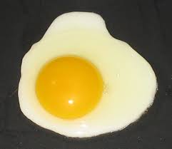 How is the ovum of a chicken one cell? Chicken Egg How Many Cells In A Chicken Egg Many
