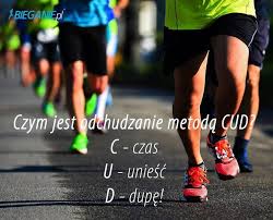 images?q=tbn:ANd9GcQn7xxHSgRBXaSRiFd7bCA