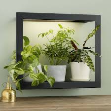 Hang This Modern Steel Shelf Frame On Any Indoor Wall And Its Hidden Grow Light Will Keep Plants Happy Make Bathroom Plants Grow Lights For Plants Frame Shelf