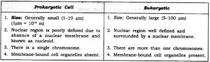 We did not find results for: Ncert Solution Class 9th Science Ch 5 The Fundamental Unit Of Life Dev Library